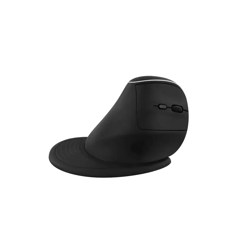 Souris Sans Fil Ergo avec Repose Poignet