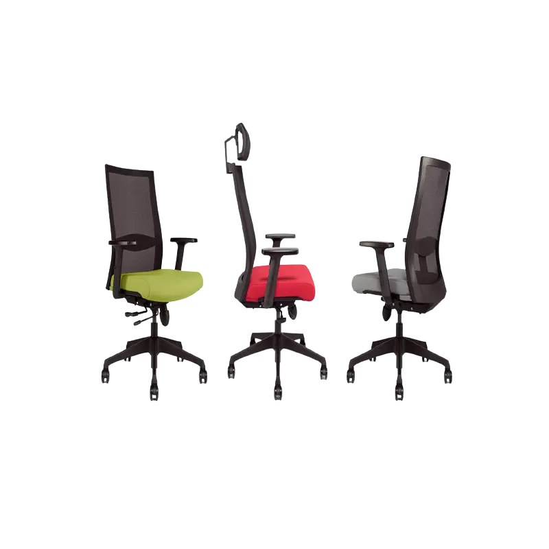 Siège de Bureau Ergonomique