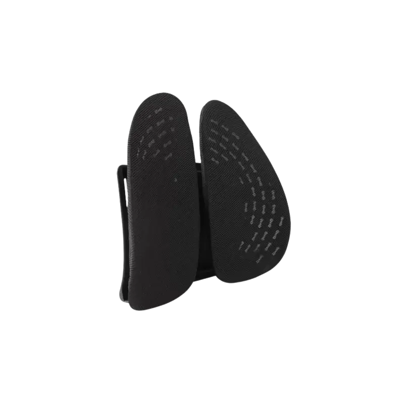 Ergonomic Pro back support